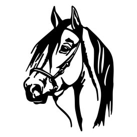 Horse Head Fali fém dekoráció 40x55  Fekete
