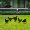 Chickens 5 darabos Kerti dekoráció  Fekete N